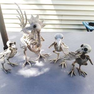 8 skeleton animals halloween